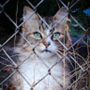 Meet your Posher, Austin